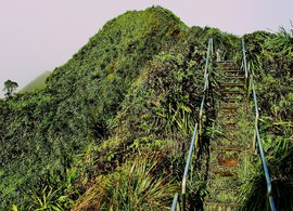 Haiku Retreats & Trips