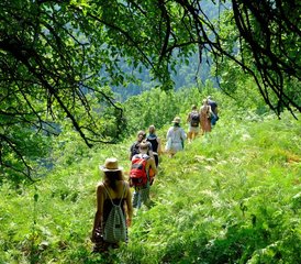 7 Day Rejuvenating Yoga Nidra Retreat and Training in Olympus, Greece - Photo 3