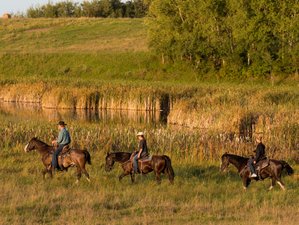 4 Tage Wrangler Reiturlaub in Rossburn, Manitoba, Kanada