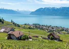 Le Vaud Retreats und Reisen