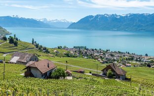 Le Vaud Retreats und Reisen