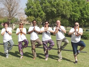7 Day Meditation and Relaxing Yoga Holiday in Agonda Beach, Goa, India