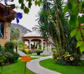 3 Day Yoga and Detox Retreat in Tepoztlan, Morelos - Photo 2