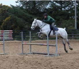 7 Day Luxury Horse Riding Holiday: Single Traveller Special in Wicklow, Ireland - Photo 4