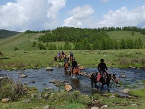 9-daagse Express Paardrijtocht in Mongolië