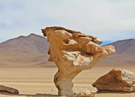 Uyuni Retreats & Trips