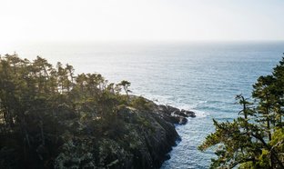 Clayoquot   Sound Retreats & Trips