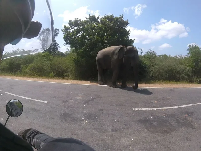9 Day Sri Lanka Highlights Adventure Guided Loop Motorcycle Tour photo 9
