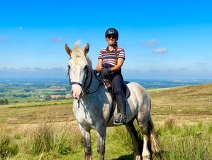 4 Tage Maßgeschneidertes Klassisches Reitabenteuer an der Causeway Coast, Irland