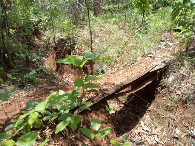 2 Days Guided Enduro Tour in Thailand - Unseen Phrao, Chiang Dao and Mae Ngat Dam photo 10