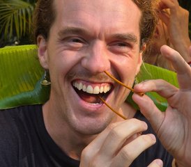1128 días de profesorado de yoga de 250 horas con 50 horas de yin o ayurveda en Goa, India - Photo 1