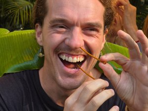 28 Tage 250-Stunden Yogalehrer Ausbildung einschließlich 50-Stunden Yin oder Ayurveda in Goa, Indien