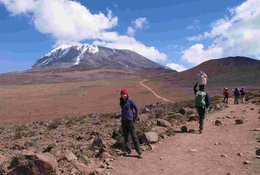 9-Daagse Machame Route Kilimanjaro Trekking Safari in Tanzania