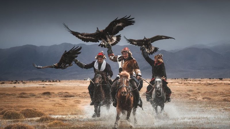 12 Day Steppe Rider Horseback Riding Tour in Mongolia