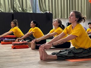 25 Day 200-Hour Hatha, Ashtanga-Vinyasa and 85-Hour Aerial YTTC in Rishikesh, India