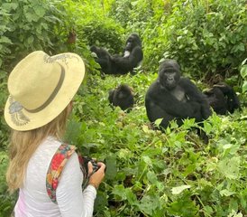 118 Day Exclusive Primates and Wildlife Mid-Range Safari in Uganda - Photo 1