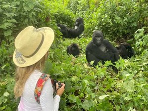 8 Day Exclusive Primates and Wildlife Mid-Range Safari in Uganda