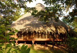 Yoga en Ayahuasca Retreats Yoga Retreats