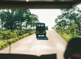 Johannesburg Retreats & Trips