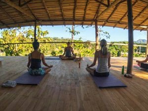 7 Day Yoga Holiday for All Levels with Meditation Near the Beaches in Tamarindo