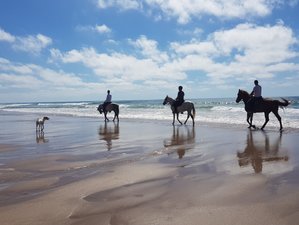 8 Day Beaches and Palm Groves of the Great Moroccan South Horse Riding Holiday
