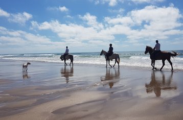 8 Day Beaches, Desert, and Palm Groves of the Great Moroccan South Horse Riding Holiday