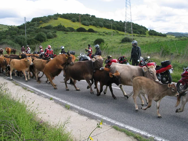 10 Day Dream Island Sardinia - Premium Guided Motorcycle Tour in Italy photo 4