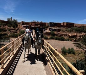 8 jours de randonnée équestre Découverte du Maroc : de la côte au désert - Photo 5