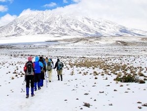 8 Day Hiking Tour Through the Rongai Route in Kilimanjaro, Tanzania