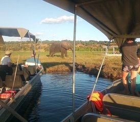 4 jours safari découverte aux chutes Victoria et au parc national de Hwange avec Chobe, Zimbabwe et Botswana - Photo 2