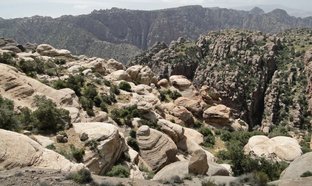 Dana Biosphere Reserve Retraites et Voyages