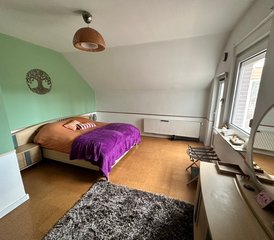 3 jours en stage privé d’équitation consciente : conscience et connexion en mouvement en Allemagne du Nord - Photo 2