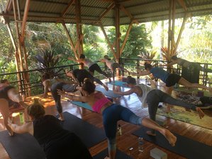 21 Tage 200-Stunden Intensive Immersion Vinyasa Yogalehrer Ausbildung mit Zertifikat in Montezuma