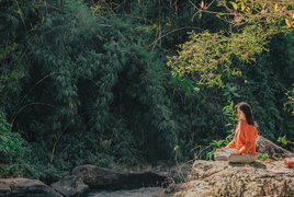 Ayahuasca végétarien Retraites et Voyages