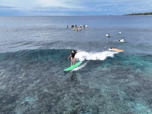 8 Day Stay and Learn to Surf in Thimarafushi, Maldives for Beginners