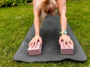 6 Month 200-Hour Hybrid Hatha Yoga Teacher Training in the UK | 3 Residential Modules (Sept–Feb)