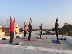 21 Tage Yoga Pilgerreise durch Nordindien