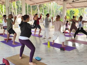 Yoga teacher training in Hong Kong: Become the guru!