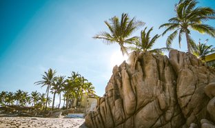 Nayarit Retraites en Reizen