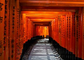 Kyōto Retreats und Reisen