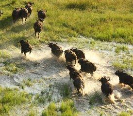 10 Tage Mobile Camping Safari Tour - Photo 5