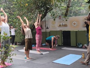 18 Tage Yoga Reise nach Rishikesh, Haridwar und Varanasi, Indien!