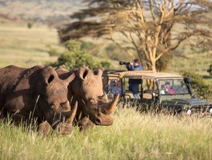 13 Day Big Cat Safari in Kenya and Tanzania