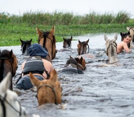4 Day Esteros del Iberá: A Journey to the Heart of Guarani Tradition Horse Riding Tour in Argentina - Photo 5