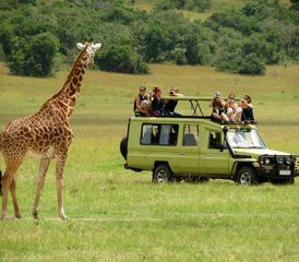 4-Daagse Masaï Mara En Lake Nakuru Groepssafari In Kenia - Photo 2