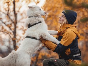 5 Day Husky and Yoga Retreat in Lapland, Finland