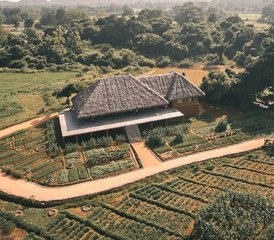 8 Day Wellness and Cultural Connections Retreat in Sigiriya, Sri Lanka - Photo 2