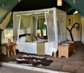 7 Days Luxury Safari in Kenya, East Africa - Photo 5