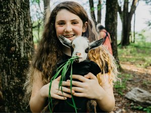 3 Day Weekend Goat Yoga Retreat in Chenango, USA