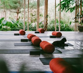95 jours-30h en formation de professeur de yin yoga à Bali, Indonésie : un voyage holistique vers le yoga et la MTC - Photo 1